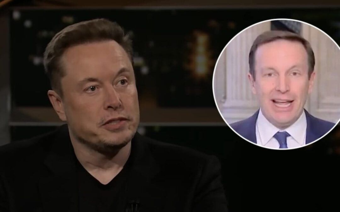 Lying Dem senator claims Musk supports neo-Nazi party