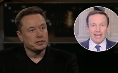 Lying Dem senator claims Musk supports neo-Nazi party