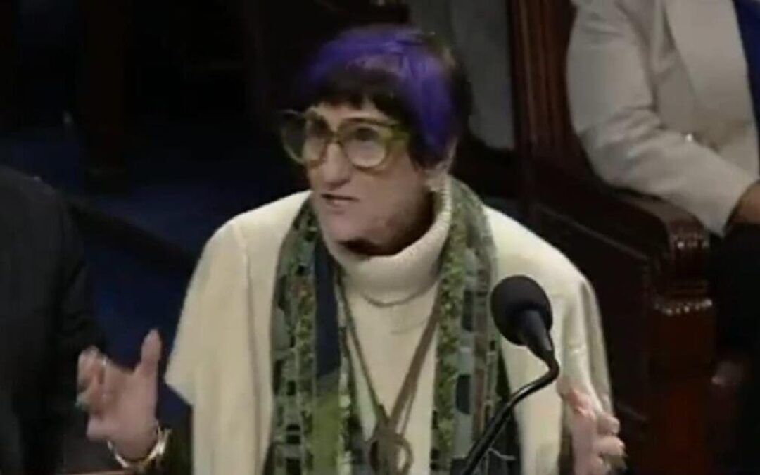 Purple-haired Congresswoman, 81, draws scrutiny over Musk comments