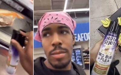 TikTok ‘prankster’ arrested after videoing himself at Walmart spraying food with bug killer