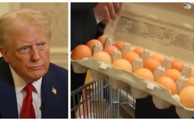Egg prices have dropped 61% since Trump took office