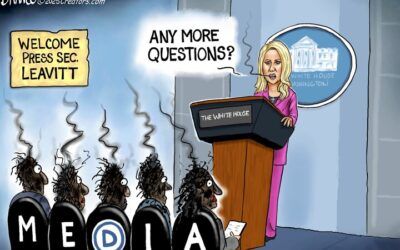 BS daily political cartoons: Any more questions?