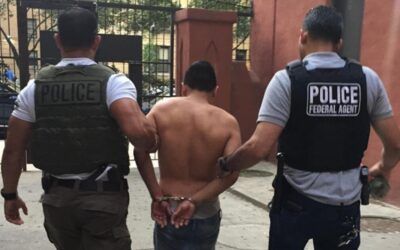 538 migrants arrested as ICE raids nab pedophiles, gangbangers and suspected terrorists