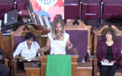 DEI grifter explains how Republicans’ anti-DEI legislation crippled her business