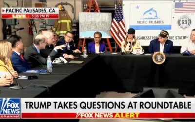 ‘You made it so impossible’: Trump halts Dem rep on FEMA defense, calls out insurance companies fleeing state