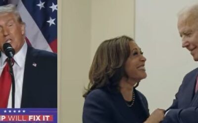 The good, the bad and the ugly of 2024