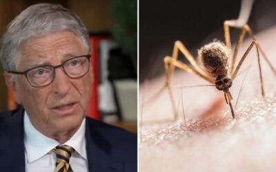 Bill Gates funding ‘flying vaccinator’ mosquitoes that can inject unsuspecting humans
