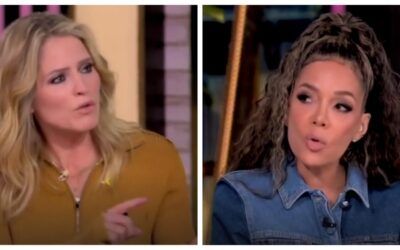 ‘The View’ co-host appears to upset panelist as she states DEI ‘has not accomplished things’