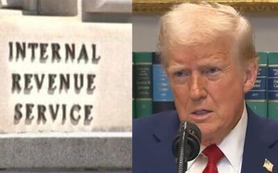 ‘How about just no tax?’ Trump mulls moving Biden’s 90K strong IRS army to defend border, or he may just fire them