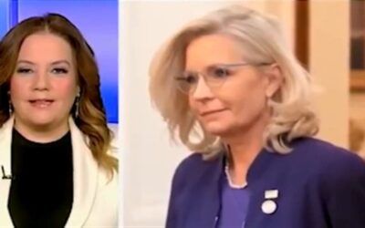 Mollie Hemingway takes a flamethrower to ‘low intelligence’ Liz Cheney