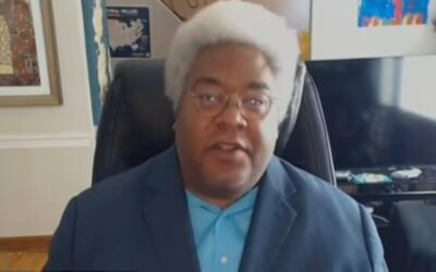 Racist MSNBC guest blames white folks for the price of eggs