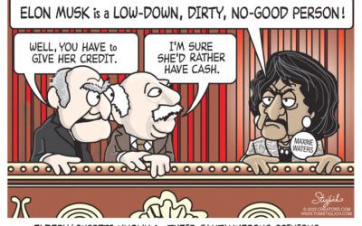 BS daily political cartoons: Deep State Laundry