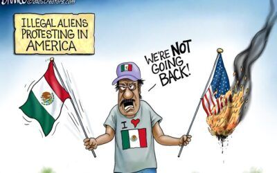 BS daily political cartoons: Flag burning illegals insist, ‘we’re not going back’