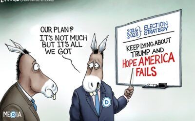 BS daily political cartoons: Our plan?