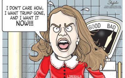 BS daily political cartoons: There was no Joy in Mudville …