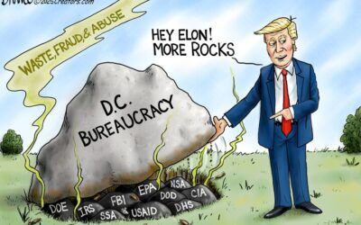 BS daily political cartoons: Hey Elon! More rocks