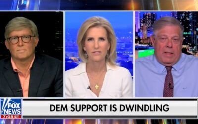 ‘Never seen anything like this’: Fmr Clinton pollster says Dems’ support ‘is falling off a cliff’