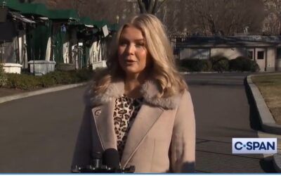 ICE arrests mother of Karoline Leavitt’s nephew, ‘a criminal illegal alien from Brazil,’ says DHS