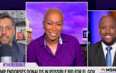 Meanwhile on racist MSNBC black conservatives are being called ‘chickens for Colonel Sanders’