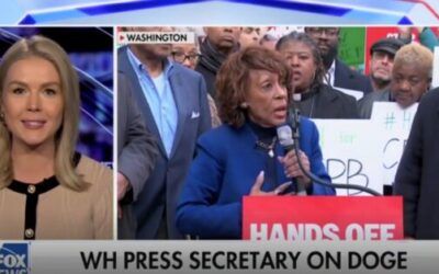 ‘Democrats learned nothing’: Karoline Leavitt destroys Dems over DOGE, calls them ‘incredibly out of touch’