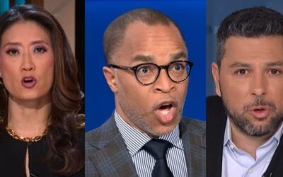 BLOODBATH: The ax falls more at MSNBC, Maddow cries race, lays into bosses as Joy Reid sobs