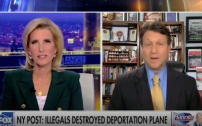 Sr. national security fellow says Dems want to ‘undermine’ Trump’s deportations, slams attempted hijackings under Biden