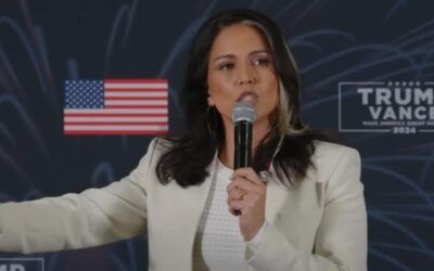 Gabbard: Biden regime ignored  ‘highly inappropriate’ perv chats for years