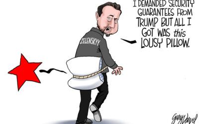 BS daily political cartoons: All I got was this lousy pillow …
