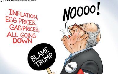BS daily political cartoons: Schumer: It’s all Trump’s fault!