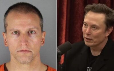 Musk backs Conservative icon’s petition for Derek Chauvin pardon, says murder conviction unjust