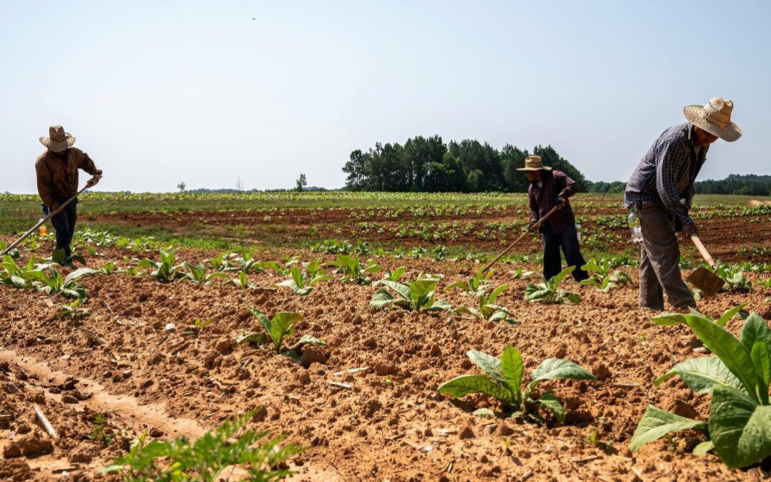 ‘Farm Bill’ may ease cost burden for farmers; Ag groups urge US Senate action