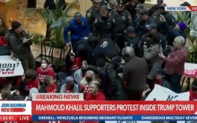 ‘Free Mahmoud!’: Anti-Israel protestors occupy Trump Tower lobby