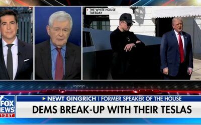 ‘They are a dead end’: Newt Gingrich says Elon Musk’s shift away from Dems is wake-up call for America