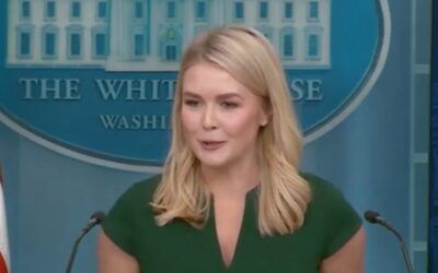 Karoline Leavitt reminds ‘low-level’ French politician he would be ‘speaking German’ without US sacrifices