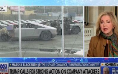 ‘Like crickets’: Sen. Blackburn slams complete Democratic silence on violence against businesses