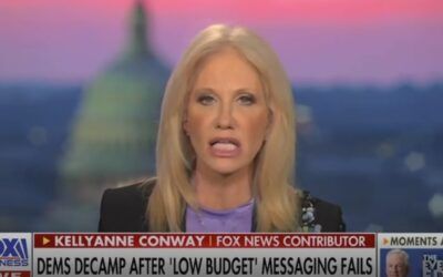 ‘Feckless, reckless, and rudderless’: Kellyanne Conway says Democrats’ spending causes economic crisis