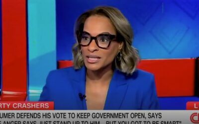 CNN panelist so demoralized by Trump she doesn’t even care if Dems win House in 2026