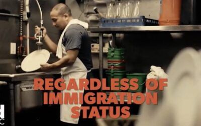 ‘A terrible idea’: NYC makes it even easier for illegal immigrants to obtain a residency ID card