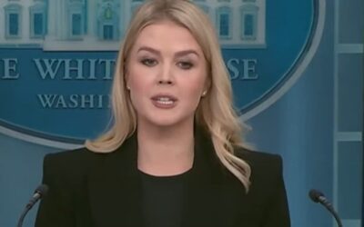 Trump spox Karoline Leavitt blasts ‘absurd’ activist judges curtailing executive powers
