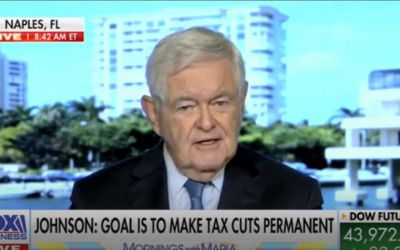 ‘We are sliding towards a recession’: Newt Gingrich sounds alarm about need for GOP to pass tax cuts