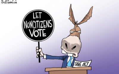 BS daily political cartoons: Dems: Let noncitizens vote!