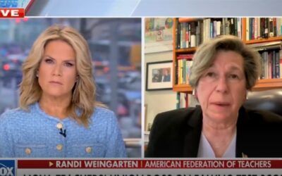 Teachers union leader invokes ‘To Kill A Mockingbird’ in attempt to defend children being read sexually explicit books