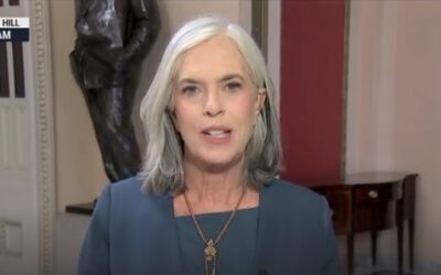 MSNBC’s Willie Geist presses Dem rep on why Trump is more popular than her party