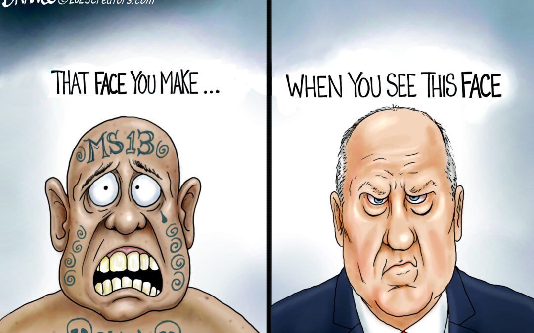 BS daily political cartoons: That face you make … when you see this face