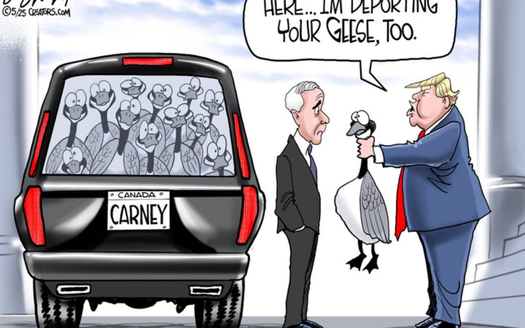 BS daily political cartoons: Here… I’m deporting your geese, too.