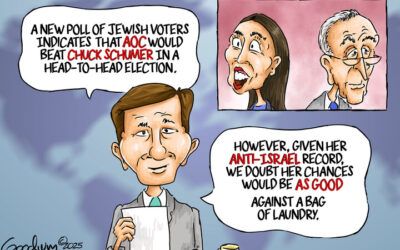 BS daily political cartoons: AOC vs a bag of laundry