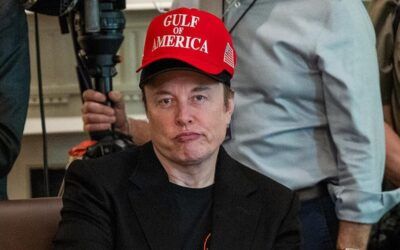 ‘Disturbing’ percentage of Democrats want Elon Musk imprisoned for cutting gov’t waste