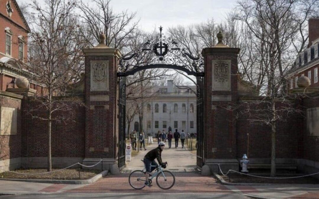 Harvard rewards student charged with assaulting an Israeli student with a teaching job