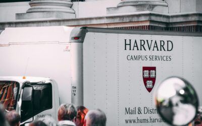 Harvard begins funding itself as university feels effects of Trump administration cuts