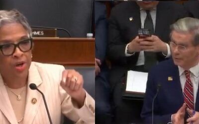  ‘I will not stop’: Dem rep hijacks hearing after Scott Bessent fails to give her answer she wanted